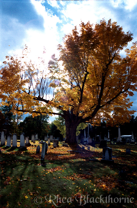 Picture of West Port Cemetary